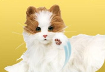 楽天市場】夢ねこ ヴィーナス セガトイズ : クロソイド屋 楽天市場店