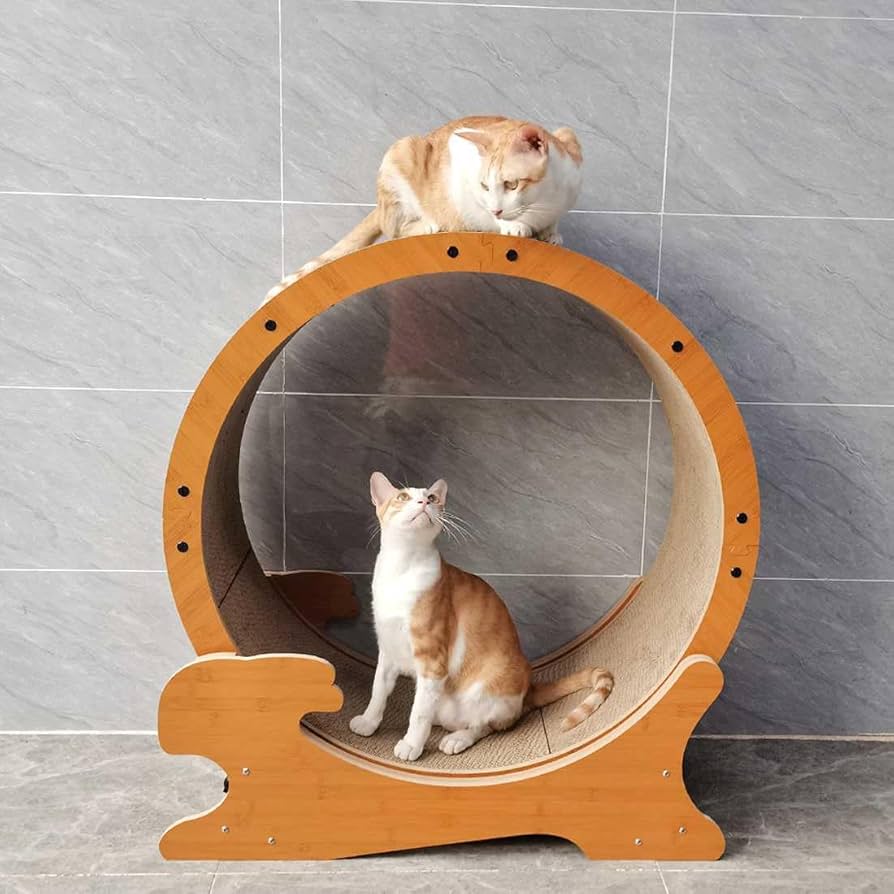 petstay キャットホイール 猫 回し車 木製 直径110cm 大型猫 活発な猫