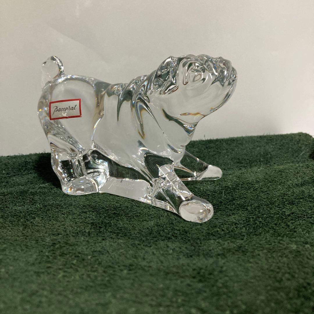 バカラのブルドック バカラのブルドック バカラのブルドック