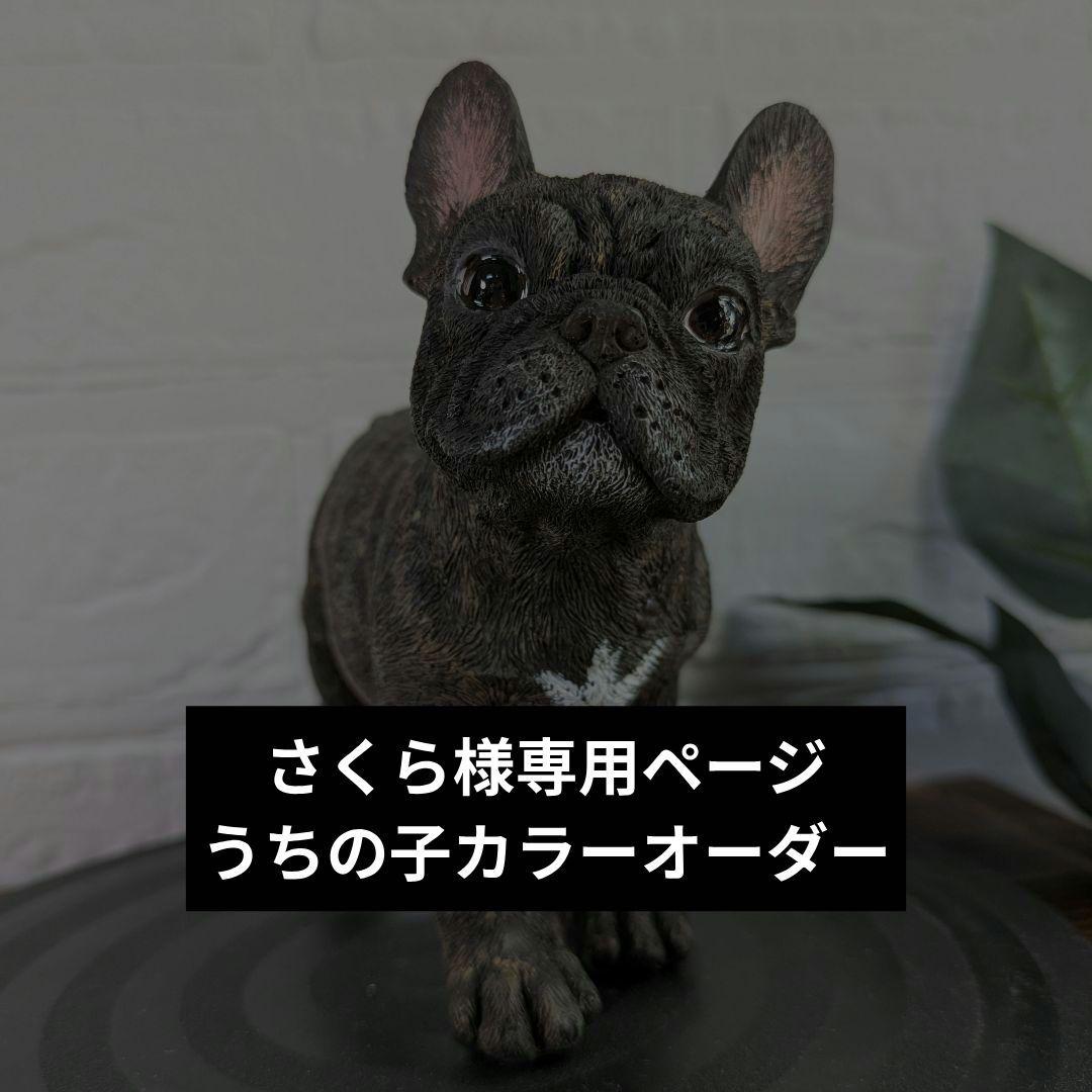 さくらページ うちの子オーダー さくらチャンネル撮影日 2時間待ちあってお腹減りすぎてマック🍟